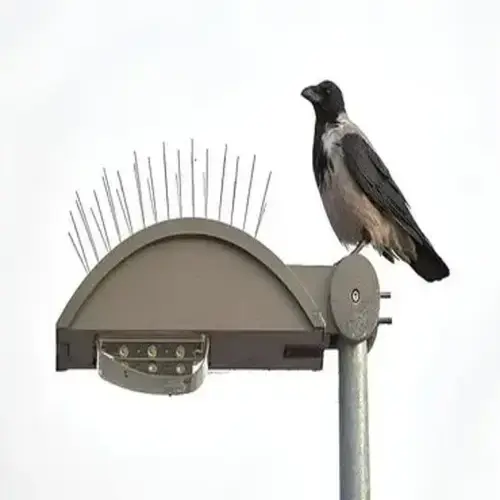 Pinnacle Netting Bird Spikes for Pigeons Near Me in Hyderabad and Telangana