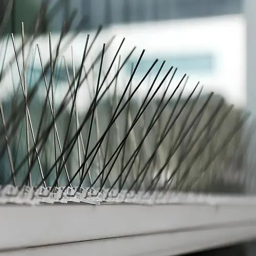 Pinnacle Netting Bird Spikes for Pigeons Near Me in Hyderabad