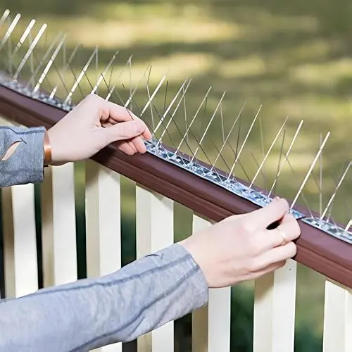 Pinnacle Netting Bird Spikes for Pigeons in Hyderabad Near Me and Throughout Telangana