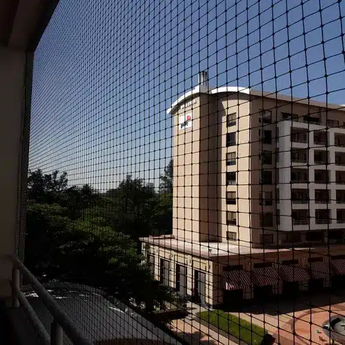 Pinnacle Netting Quality Pigeon Net for Balconies in Manikonda, Kondapur and Throughout Hyderabad Near You